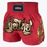 Muai Thai Shorts