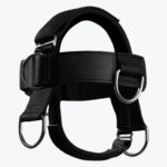 Head Harness