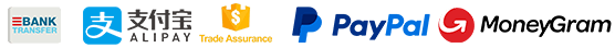 Logos of accepted payment methods: Bank Transfer, Alipay, Trade Assurance, PayPal, and MoneyGram on a green background.